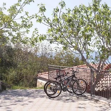 Split Rustic House On The Hill For 10 People Podstrana