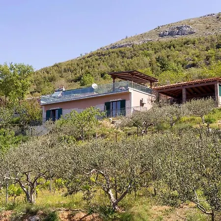 Split Rustic House On The Hill For 10 People * Podstrana